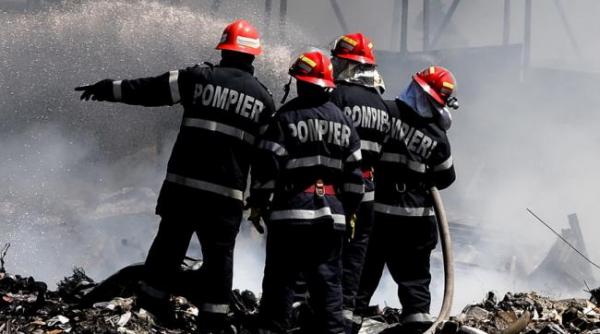 constanta incendiu la serele din mihail kogalniceanu