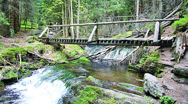 metamorfoza de la statiuni comuniste la centre de wellness