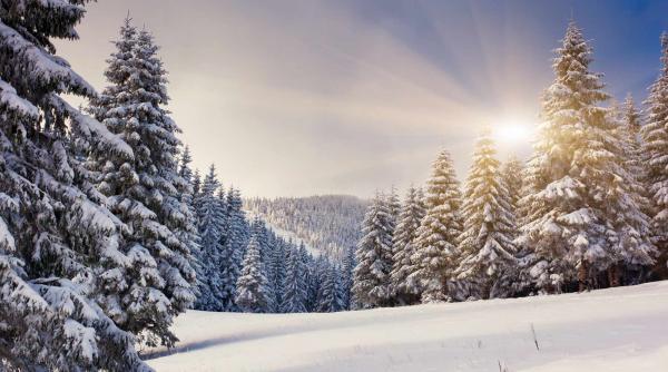 zapada de un metru si copaci cazuti pe traseele din masivul ceahlau