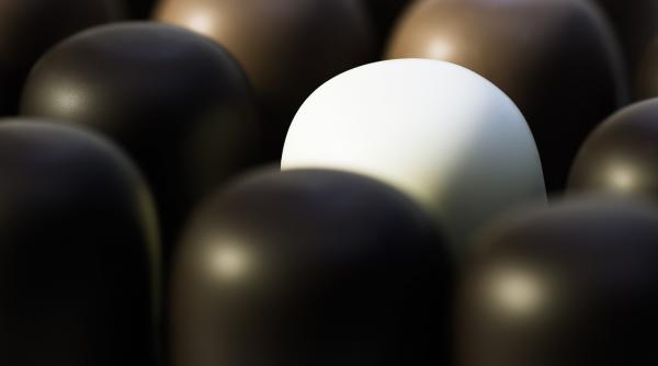 cea mai buna reteta de bomboane de ciocolata cu avocado