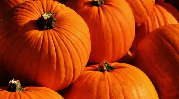 cea mai buna reteta de dovleac umplut