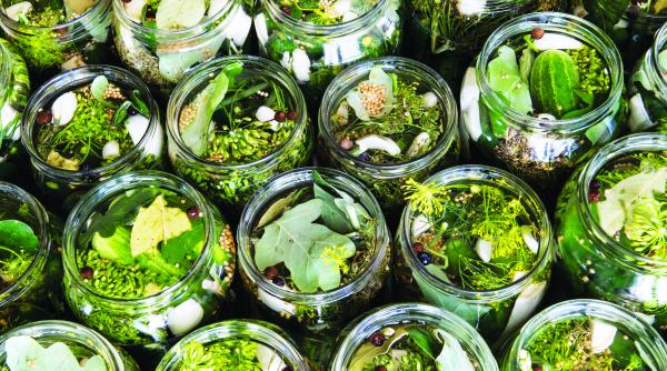 cum sa pui muraturi sanatoase