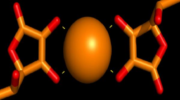 sfatul medicului totul despre dezechilibrele metabolice diagnostic cauze tratament naturist