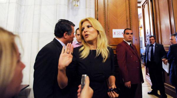 update deputatii au avizat cererea dna de urmarire penala impotriva elenei udrea