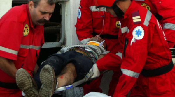 brasov un copac a cazut peste un trecator