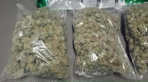 diicot canabis hasis si cocaina aduse din italia de o grupare care activa in suceava si mures