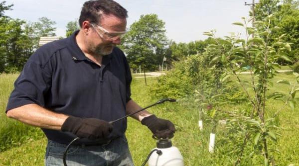 gradina mea activitati de toamna in gradina