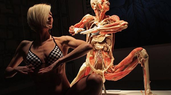 15 lucruri despre corpul uman care te vor surprinde