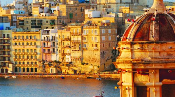 20 din afaceri conectate offshore