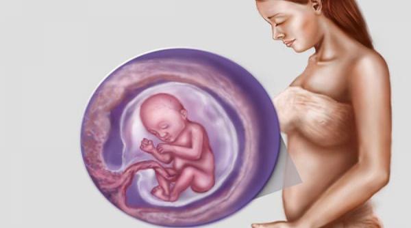 sfatul medicului cum trebuie sa procedezi in caz de disfunctii in timpul sarcinii