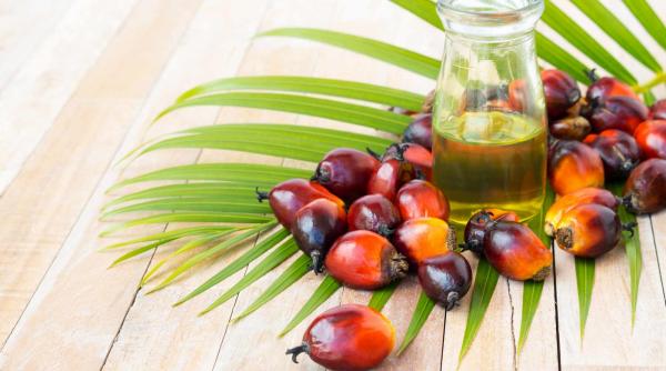 naturisme ulei din crustacee in ajutorul inimii