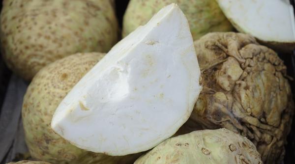 reteta zilei salata de pui cu telina si castraveti murati