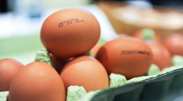 dsv covasna jumatate din cantitatea de oua cu salmonella a fost comercializata