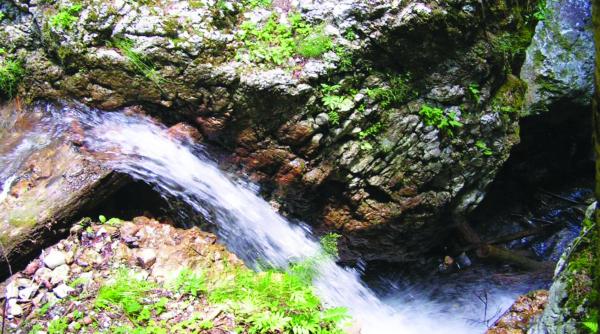 cascada tamina atractia din masivul piatra mare