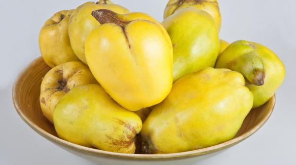 cura cu fructele toamnei struguri pere si gutui