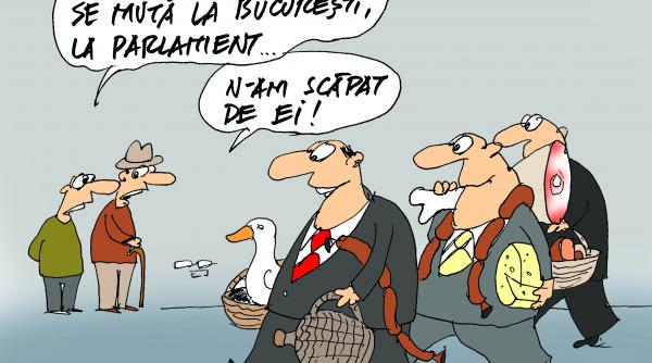 incepe baronizarea parlamentului maharii judeteni se muta la bucuresti