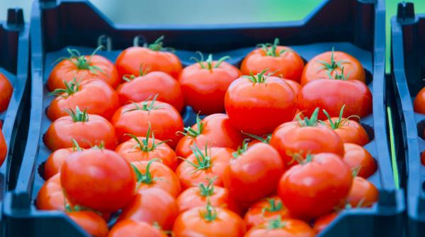 cea mai mare greseala pe care o faci in bucatarie tu unde depozitezi rosiile