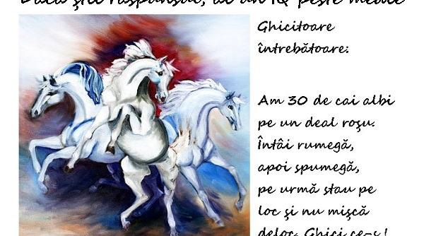 enigmistica ghicitoarea cailor albi
