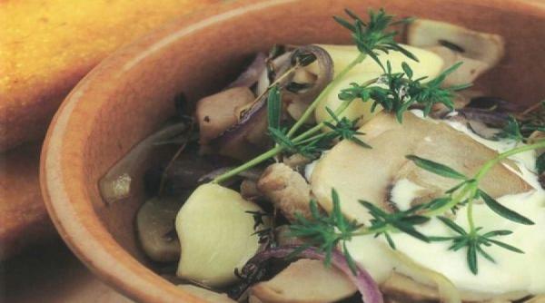 scofala reteta lui radu anton roman