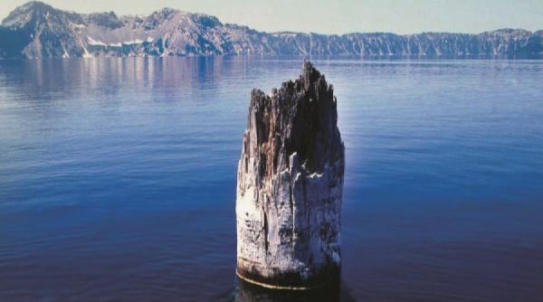 video batranul din lac misterul care pare sa incalce legile fizicii