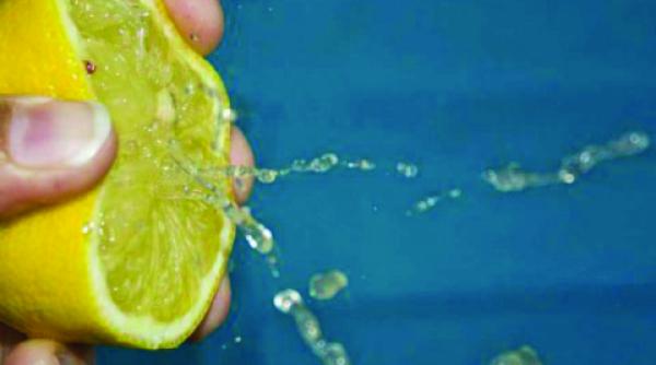 recomandarea zilei cum puteti pune pe goana gandacii de bucatarie