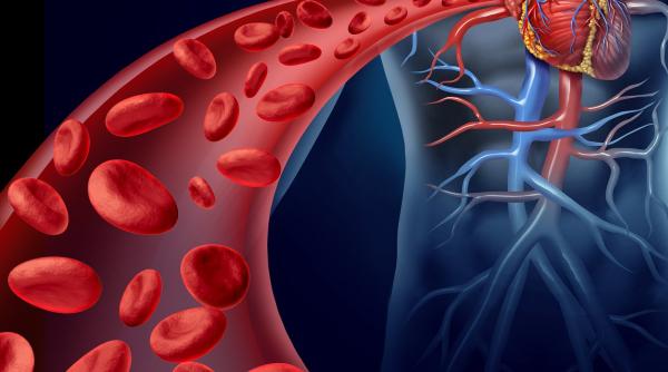 sfatul medicului helatioterapia tratamentul care poate vindeca zeci de boli
