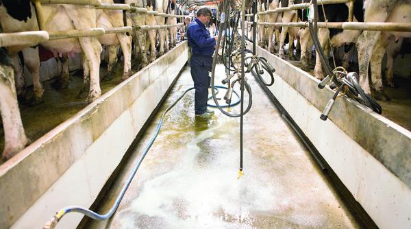 de ce sunt specializarile universitare in agricultura foarte atractive