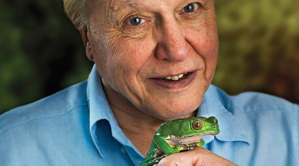 celebrul naturalist sir david attenborough despre trump l am putea impusca nu i o idee rea