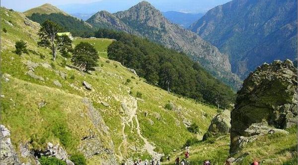 leacurile lui zamolxis si medicina traditionala balcanica