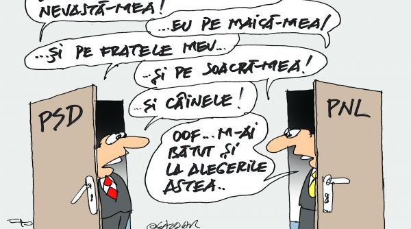 listele pentru parlamentare sectiunea pile