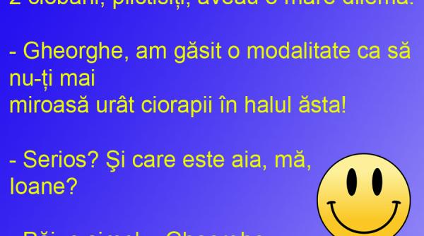 bancul zilei solutia ideala pentru ciorapii care miros urat