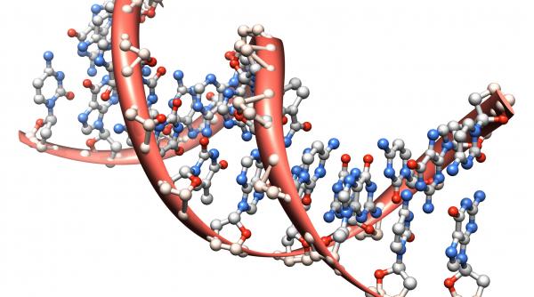 reteta sanatatii sta ascunsa in adn