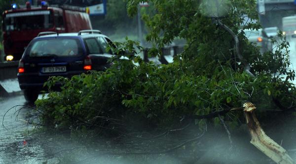 arad barbat ranit grav dupa ce un copac a cazut peste masina sa