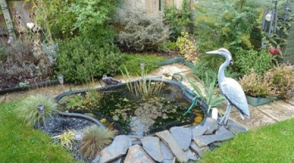 d ale casei cum construiesti un iaz de gradina vezi si galerie foto