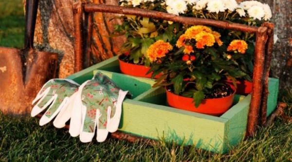 toamna se pregatesc gradinile frumoase din primavara afla ce trebuie sa faci acum