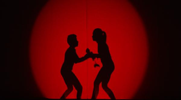 next star teatru de papusi si teatru de umbre balet rusesc si muzica buna