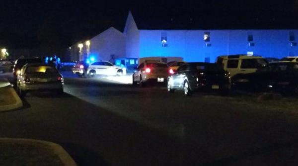 sua doi politisti au fost impuscati in statul pennsylvania presa