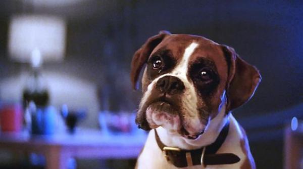 video john lewis ne surprinde cu prima reclama de craciun din 2016