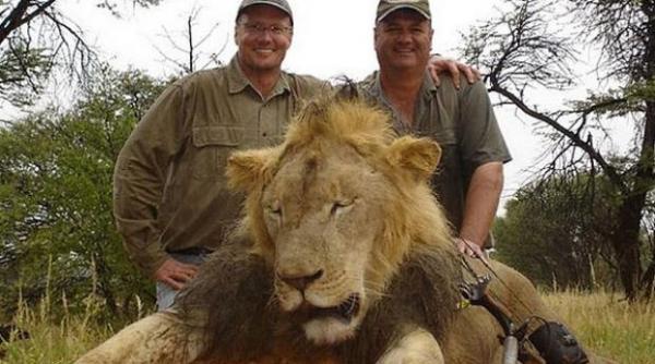 acuzatiile vanatorului profesionist care a condus expeditia de ucidere a leului cecil au fost retrase