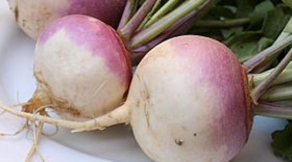 ce afectiuni poti trata cu napi