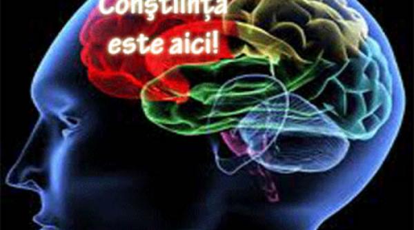 care este originea constiintei ce zic oamenii de stiinta