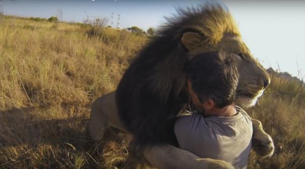 video relatie fara granite intre lei si om