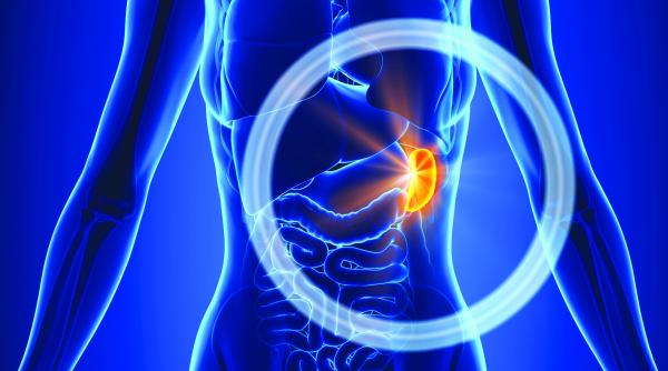 splina cimitirul unde vin sa moara globulele rosii