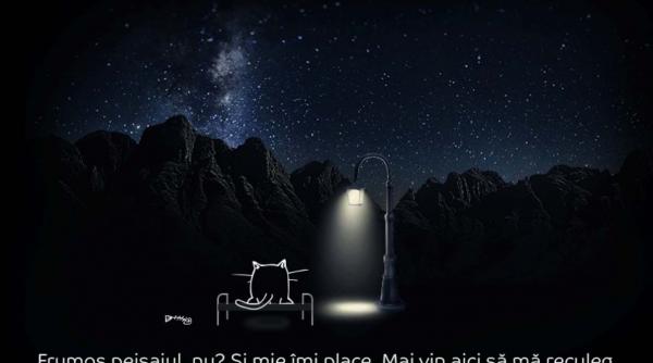 black friday 2016 probleme pentru emag siteul a picat campania a fost suspendata in mai putin de o ora de la debut