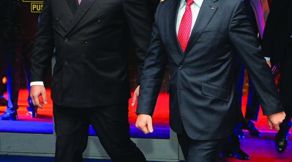 ciolos s a enervat dupa taierea motului