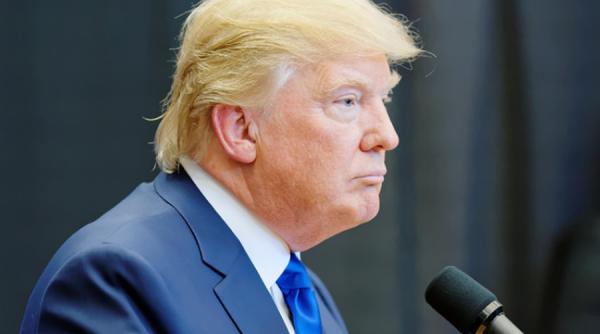 foto un fazan auriu face furori in china din cauza asemanarii sale cu trump