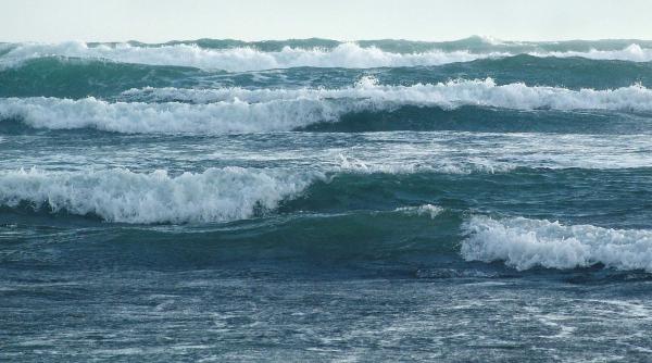 cutremur in japonia tsunami de un metru masurat in apropiere de centrala nucleara de la fukushima