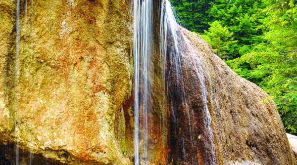 vama buzaului comoara care vrea sa iasa din anonimat
