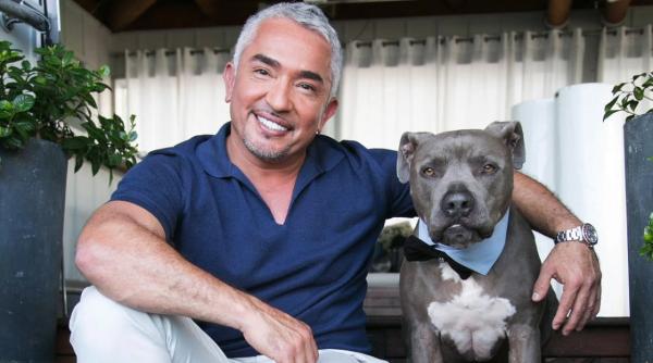 celebrul cesar millan vine la bucuresti pentru un show vezi cand si de unde pot si cumparate bilete