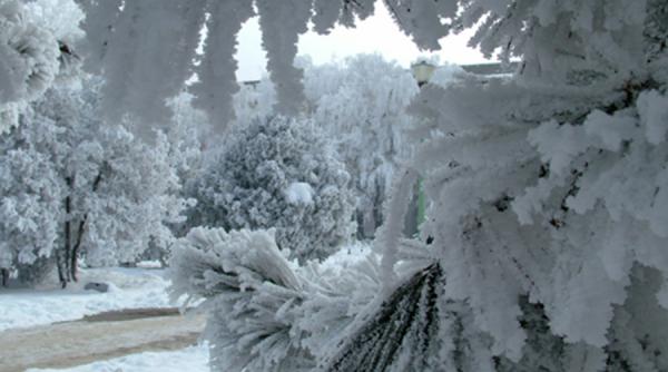harghita trafic feroviar blocat intre baile tusnad si tusnad sat din cauza brazilor incarcati cu chiciura